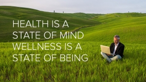 summarize how the components of health are related to wellness